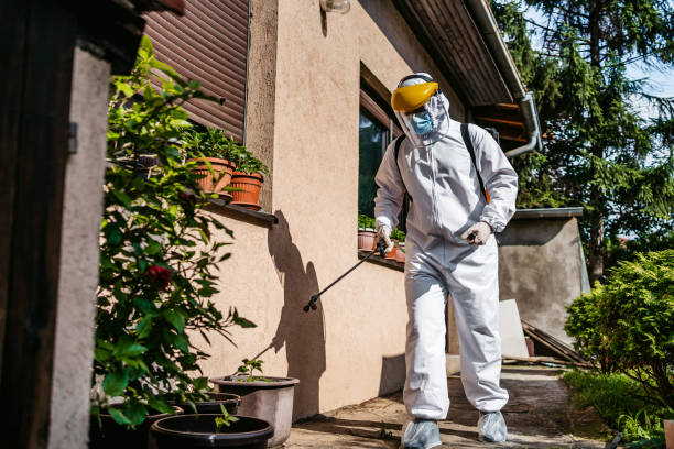 Best Insect Control  in Kent Estates, IA