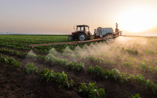 Best Rat Extermination Near Me  in Kent Estates, IA