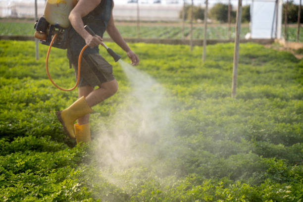 Professional Pest Control in Kent Estates, IA