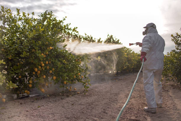 Best Best Pest Control Companies  in Kent Estates, IA