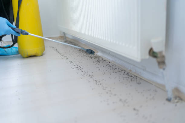 Best Pest Removal Services  in Kent Estates, IA